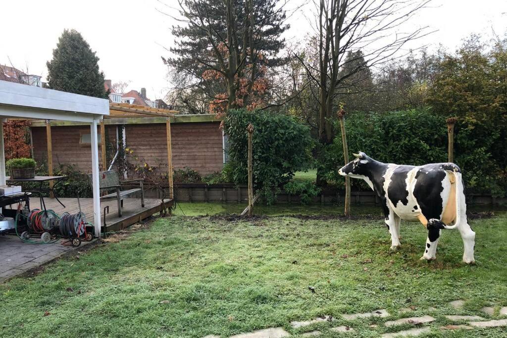 Tiny House In Tuin Van De Statige Villa Mariahof Dordrecht Zewnętrze zdjęcie